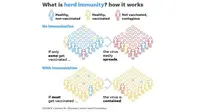 Herd Immunity (Sumber: CDC)