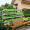 Ide Kebun Sayur untuk Sedekah Warga/Gemini
