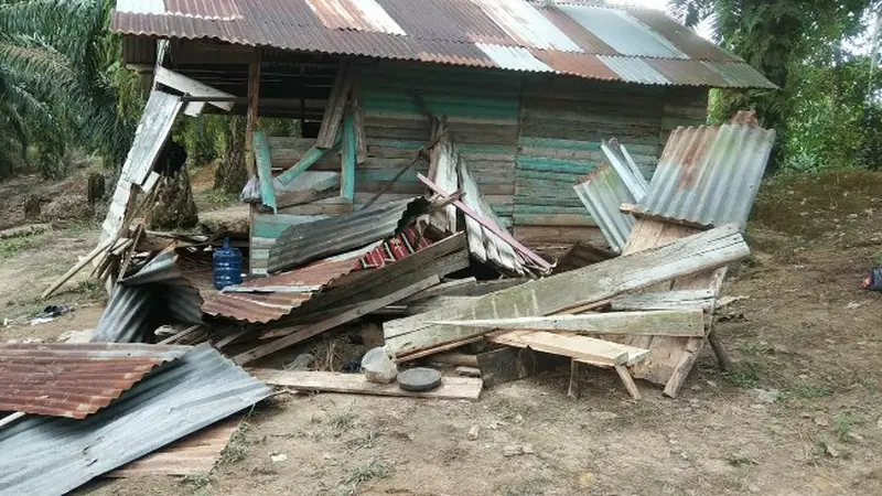 Pondok di Desa Koto Garo, Kabupaten Kampar, yang menjadi sasaran amuk kelompok sebelas gajah.