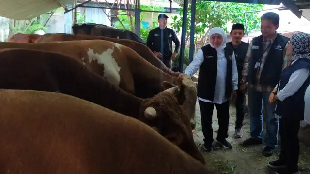 Jumlah Hewan Kurban untuk Idul Adha 2023 di Jawa Timur Diprediksi Naik 6 Persen