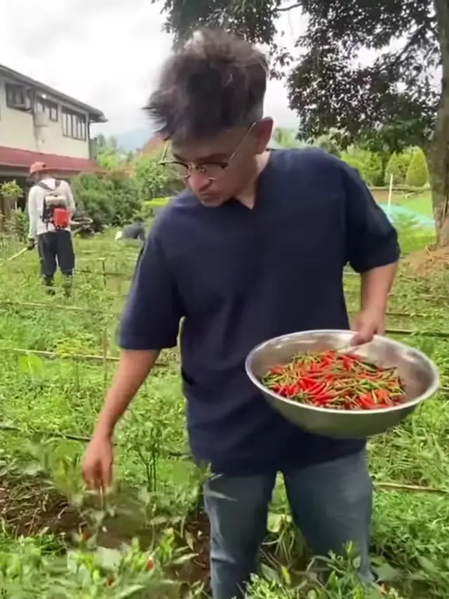 Ruben Onsu Panen Cabai Segar, Kini Mulai Jajal Berkebun