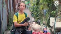 Seorang pria menggelar pertunjukan bersama empat hewan peliharaannya setiap malam. Tujuannya adalah menghibur orang yang merasa sedih.
