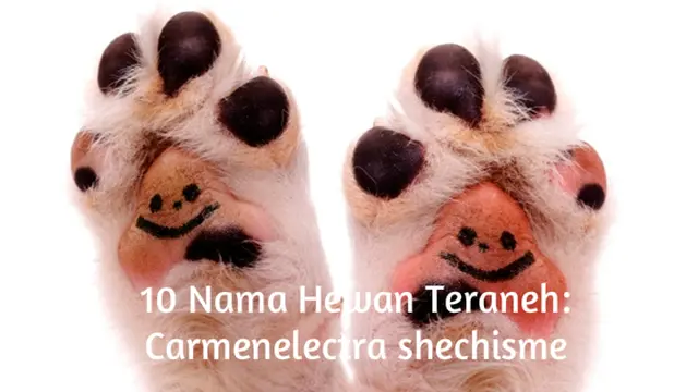 Foto: copyright ThinkStockPhotos.com