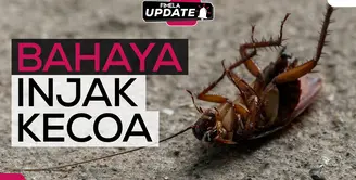 Fimela Update: Kecoa