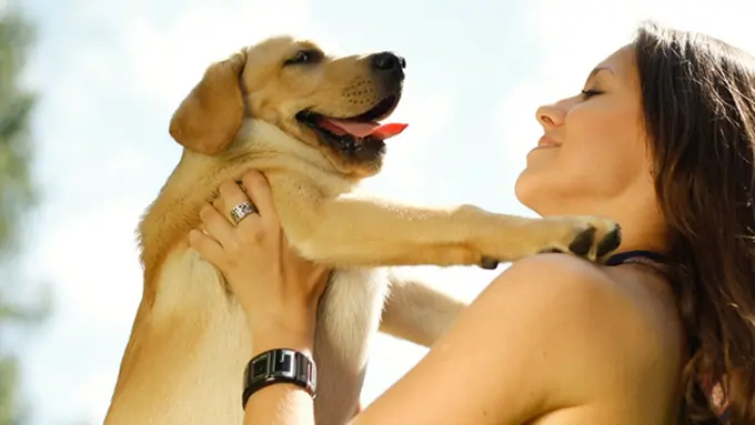 Courtesy ShutterStock.com