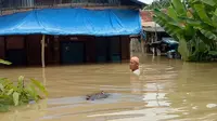Ribuan rumah terendam banjir di Sumut (Liputan6.com / Reza Efendi) 