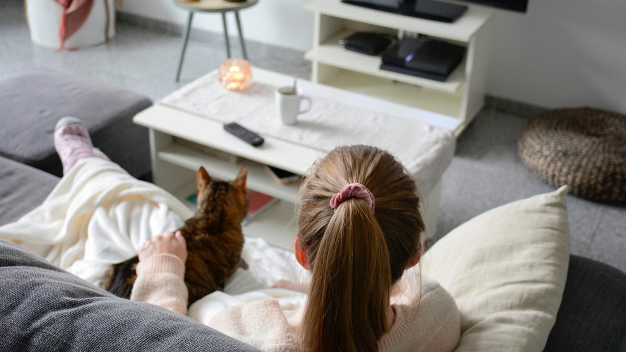 Ilustrasi nonton bareng kucing kesayangan