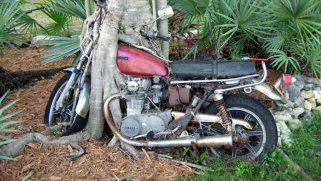 10 Motor Tak Pernah Dipakai Ini Bikin Geleng Kepala, Jadi Tempat Jamur