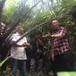 Ahok saat blusukan di kebun salak Condet, Jakarta Timur (Liputan6.com/Delvira Chaerani Hutabarat)