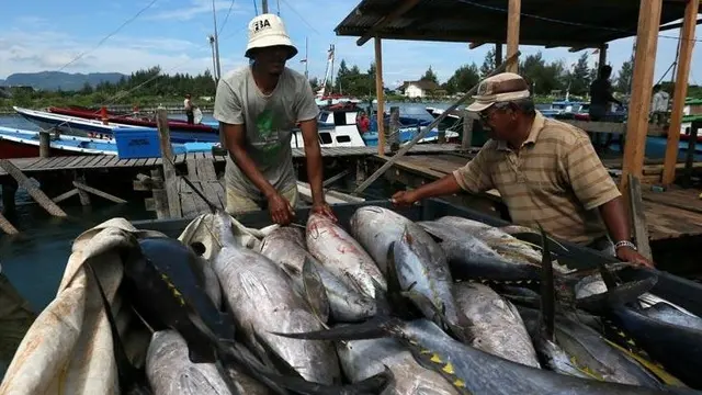 Ilustrasi Ikan Tuna