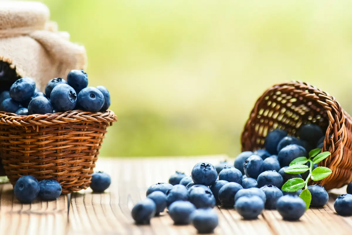 blueberry
