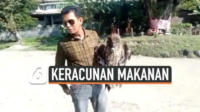 Seekor penyelamat hewan India merawat elang yang diduga mengonsumsi makanan beracun. Elang itu dilepaskan ke alam setelah menjalani perawatan beberapa hari.