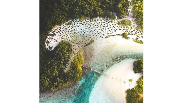 Pria Ini Bikin Manipulasi Foto Padukan Alam dan Hewan, 6 Hasilnya Bikin Takjub