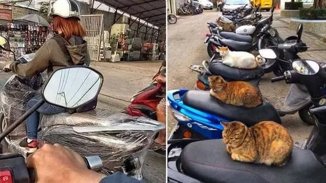 Potret Berbagai Pengaman Kendaraan