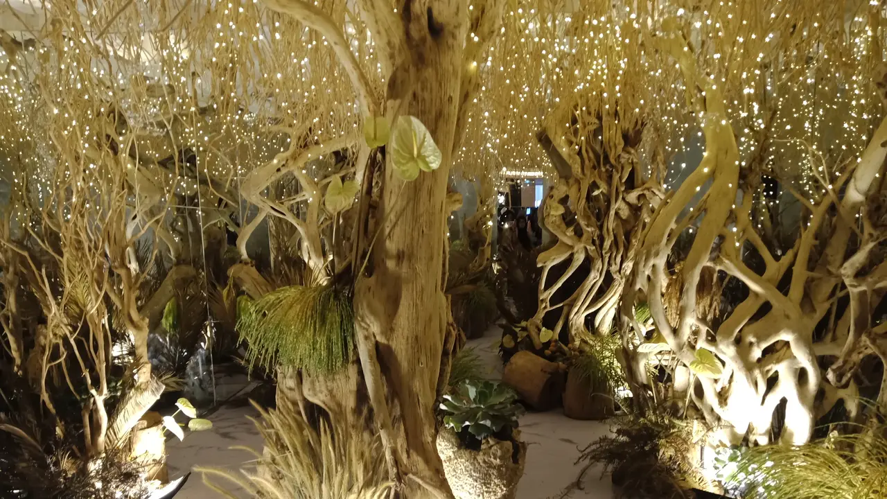 Bridestory Fair 2019