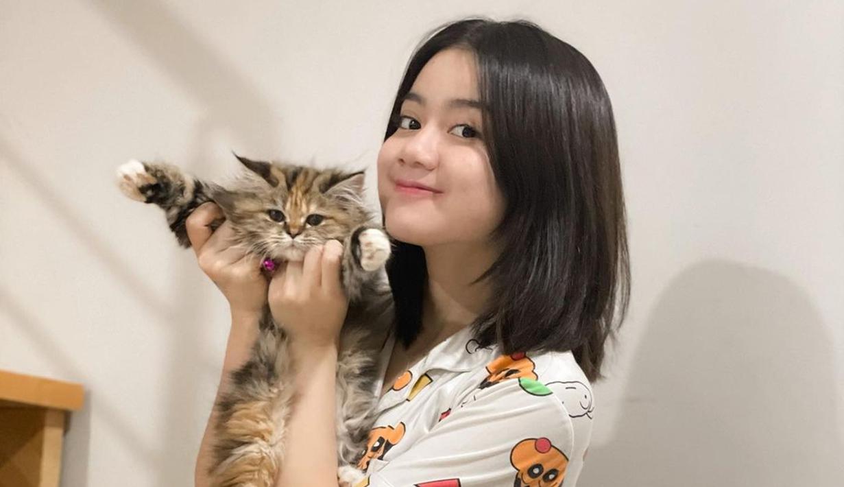 Potret Kayess Main Bareng Kucing Peliharaan, Menggemaskan