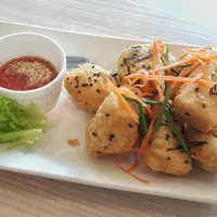 Ilustrasi tahu goreng wijen./Copyright shutterstock.com