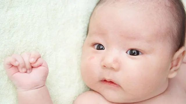 Para Orangtua Harus Tahu Bahwa Berat Badan yang Berlebihan Berdampak pada Kesehatan Anak. Jika Anak Sampai Obesitas, Berisiko Besar Mengalami Diabetes. Salah Satu Faktor Risiko Diabetes Adalah Kegemukkan atau Berat Badan Berlebih atau Obesitas