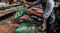Pekerja menjemur ikan asin di sentra produksi kawasan Kampung Nelayan Muara Angke, Jakarta, Kamis,(17/2/2022). Kementerian Keuangan mengalokasikan anggaran untuk program Pemulihan Ekonomi Nasional (PEN) tahun 2022 sebesar Rp455,62 triliun. (Liputan6.com/Johan Tallo)