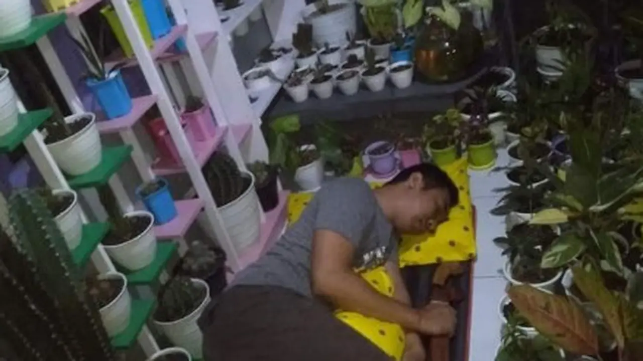 Agar Tanaman Hias Tak Dicuri, Berikut 3 Potret Pria Tidur Bersama Tanaman Miliknya