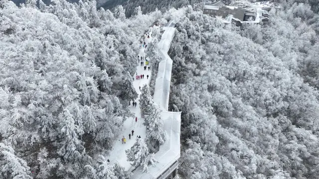 Bangkok Thailand Mendingin Jelang Natal, Suhu Diprediksi Mencapai 1 Derajat Celcius
