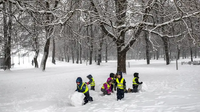 Hujan Salju Lebat Selimuti Lithuania