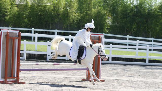 Bali Equestrian Center Canggu