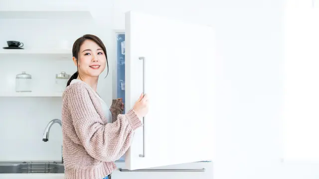 Wishlist Barang Elektronik Favorit Mama Muda, Checkout di JD.ID 8.8 Home Electronic Mega Sale Aja