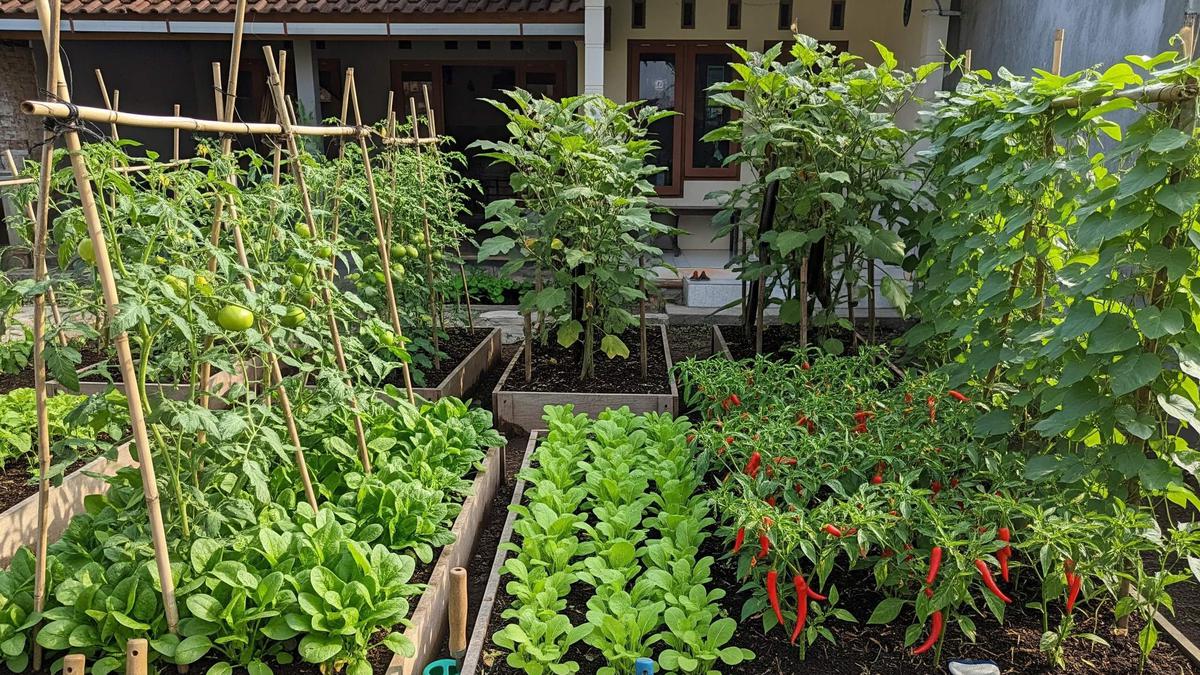 6 Model Kebun Sayur Mini Depan Rumah, Bikin Hunian Asri &amp; Produktif Meski Lahan Sempit