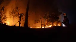 Sedikitnya 19 orang tewas akibat kebakaran hutan panas ekstrem. Tampak dalam foto, seorang petugas pemadam kebakaran berusaha memadamkan vegetasi yang terbakar selama kebakaran hutan di kota Florida dekat kota Concepcion, Chile, pada Senin 19 Januari 2026. (Raul BRAVO/AFP)