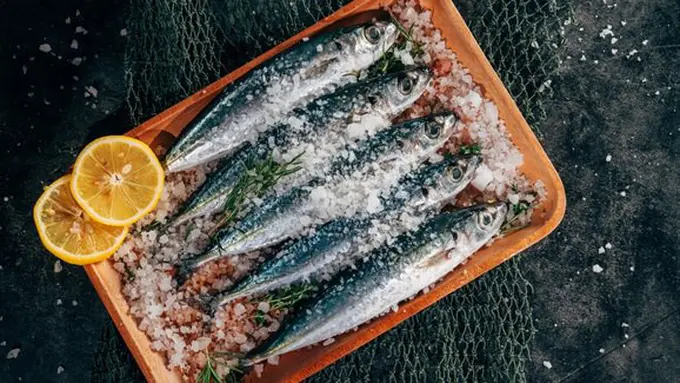 Ikan laut/copyright Hoan Vo