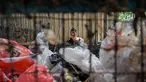 Seorang pekerja memilah sampah plastik yang dikumpulkan di sebuah depo dari 660 bank sampah di seluruh Surabaya, Jawa Timur pada 17 Juni 2025. (JUNI KRISWANTO/AFP)