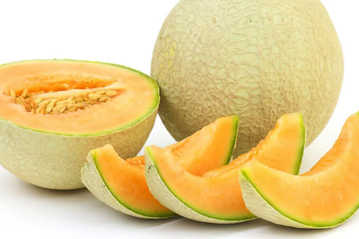 (c) shutterstock