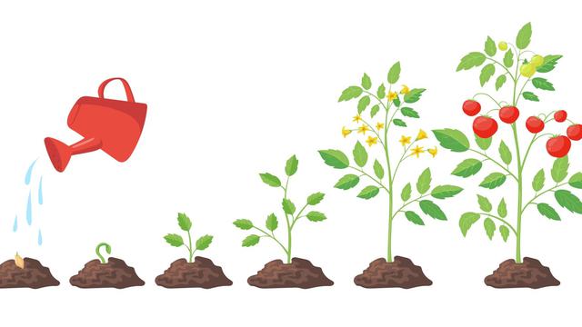 Ilustrasi tanaman berbuah, progres, kemajuan, peningkatan