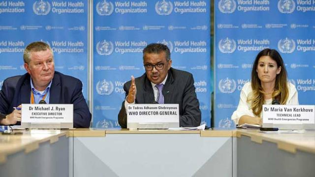 Kasus Covid 19 Melonjak Who Situasi Di India Sangat Memilukan Health Liputan6 Com