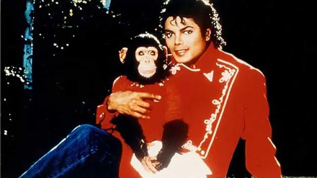 7 Potret Terbaru Bubbles, Simpanse Peliharaan Michael Jackson yang Kini di Penangkaran
