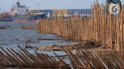 Bambu-bambu tersebut dipasang di pesisir pantai kawasan Pelabuhan Marunda Center Terminal (MCT) Jurong Port JV, Tarumajaya, Bekasi. (merdeka.com/Imam Buhori)