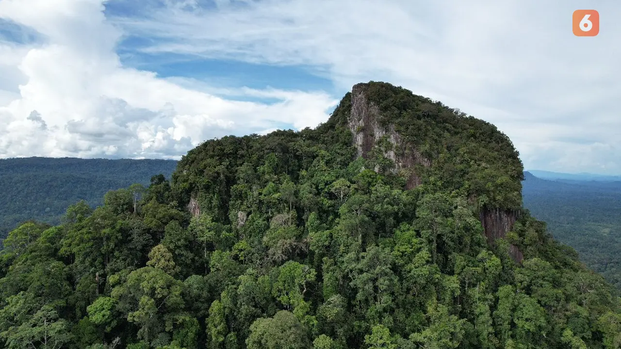 Batoq Mili