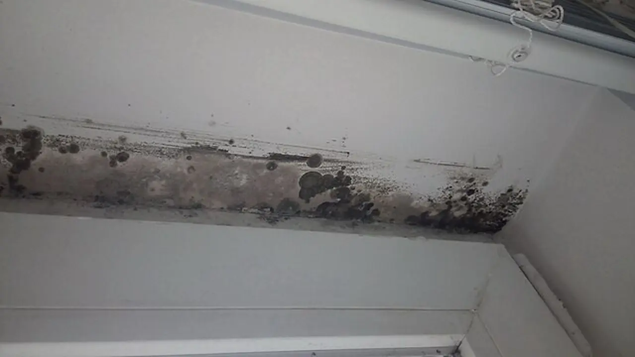 Rembesan Air di Atap Rumah