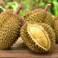 5 Alasan Kenapa Anda Perlu Makan Durian (Taveesak Srisomthavil/Shutterstock)