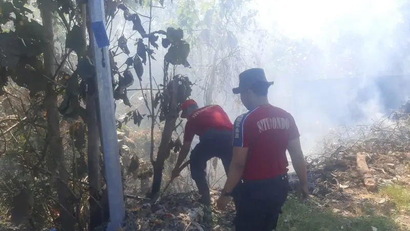 Petugas berusaha memadamkan kebakaran di hutan jati Situbondo. (Istimewa)