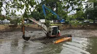 Normalisasi Ciliwung Terganjal Lahan, Lokasi Ini Rawan Banjir