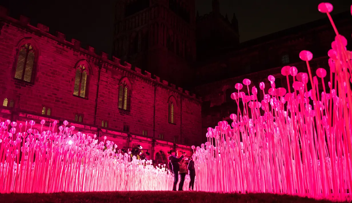 Sebuah instalasi seni berjudul 'Entre Les Rangs' menghiasi Katedral Salisbury pada Festival Cahaya Lumiere Durham di Inggris utara, 15 November 2017. Festival cahaya terbesar di Inggris ini melibatkan seniman lokal dan internasional. (OLI SCARFF/AFP)