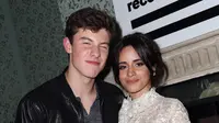 Dua penyanyi muda berbakat, Shawn Mendes dan Camila Cabello terlibat dalam lagu duet berjudul ‘I Know What You did Last Summer’. Video klip lagu ini pun telah rilis pada Jumat (20/11/2015). (AFP/Bintang.com)
