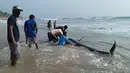 Relawan Sri Lanka mencoba untuk mendorong kembali paus pilot sirip pendek yang terdampar di pantai Panadura, 25 km selatan Kolombo pada 2 November 2020. Para pejabat mengatakan lebih dari 100 paus terdampar di pantai, menjadikannya kelompok terbesar yang terdampar di Sri Lanka. (STR/AFP)