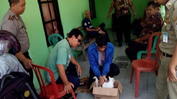 Petugas Dinas Pertanian, Pangan, dan Perikanan Kabupaten Karanganyar memeriksa dan mendata kucing di Jaten, Selasa (28/1/2020). (Solopos/ Ist)