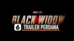THUMBNAIL BLACK WIDOW