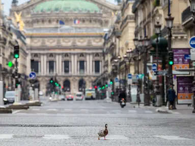 Seekor bebek berjalan di sebuah ruas jalan di Paris, Prancis (6/4/2020). Prancis memberlakukan lockdown nasional selama dua pekan mulai 17 Maret lalu, yang kemudian diperpanjang hingga 15 April. (Xinhua/Aurelien Morissard)