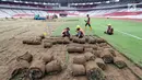 Pekerja menggulung rumput di Stadion Utama Gelora Bung Karno (SUGBK) untuk proses pemindahan ke area panahan, Jakarta, Jumat (18/5). Pemindahan rumput dalam pantauan ahli rumput dari IPB sehingga tidak akan ada kesalahan. (Liputan6.com/Johan Tallo)