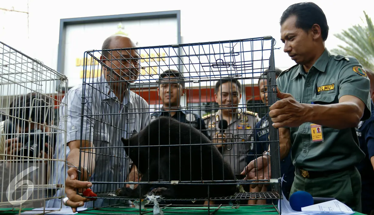 Direktorat Kriminal Khusus Polda Metro Jaya berhasil membongkar sindikat jual beli satwa dilindungi dan menangkap enam tersangka, Jakarta, Rabu (18/11). Polisi juga menyita barang bukti sedikitnya 8 satwa yang dilindungi. (Liputan6.com/Yoppy Renato)